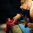 DSC00709.JPG