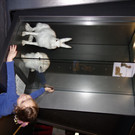 DSC00714.JPG