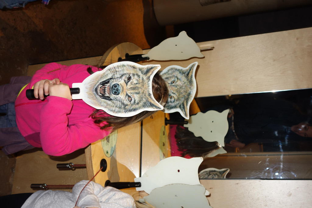 DSC00716.JPG