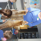 DSC00763.JPG