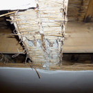 Raetikonhalle_001.jpg