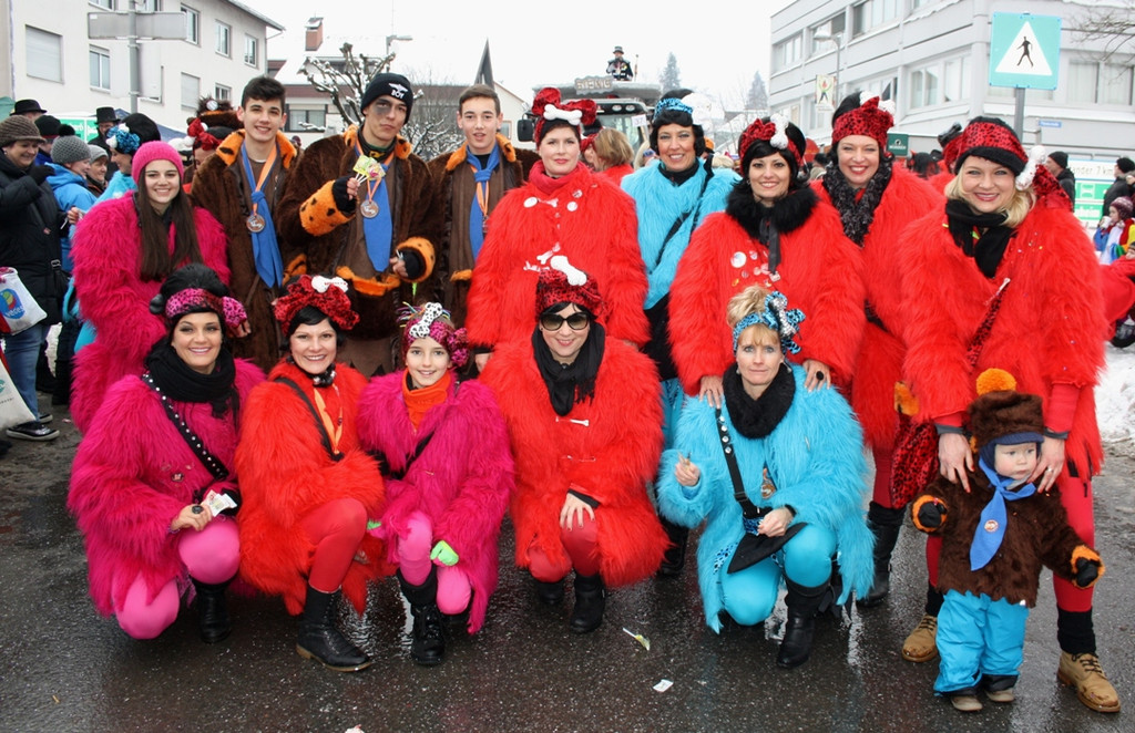 Lochau Faschingsumzug 2015 _39_.JPG