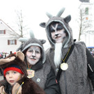 Lochau Faschingsumzug 2015 _17_.JPG