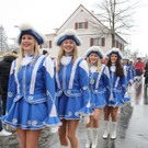 Lochau Faschingsumzug 2015 _18_.JPG