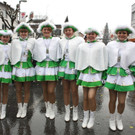 Lochau Faschingsumzug 2015 _29_.JPG