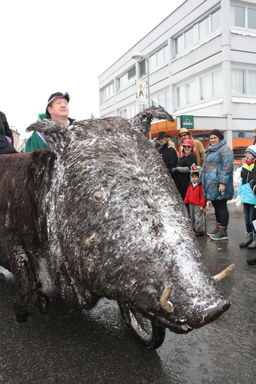 Lochau Faschingsumzug 2015 _30_.JPG