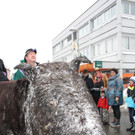 Lochau Faschingsumzug 2015 _30_.JPG