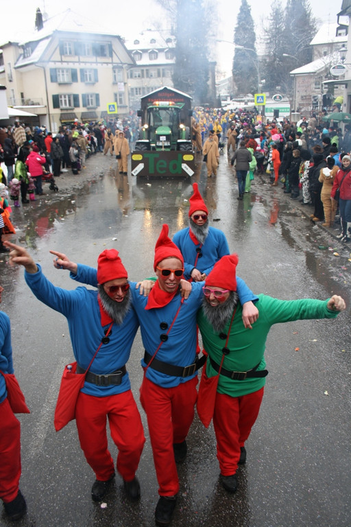 Lochau Faschingsumzug 2015 _45_.JPG