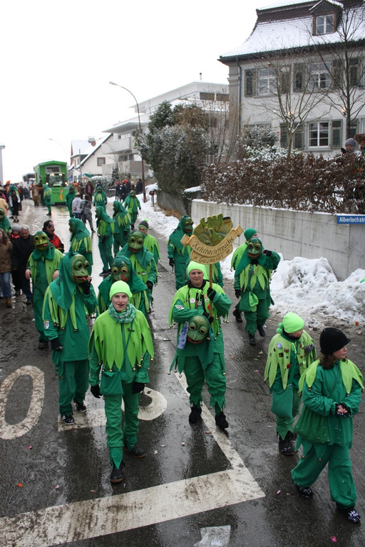 Lochau Faschingsumzug 2015 _51_.JPG