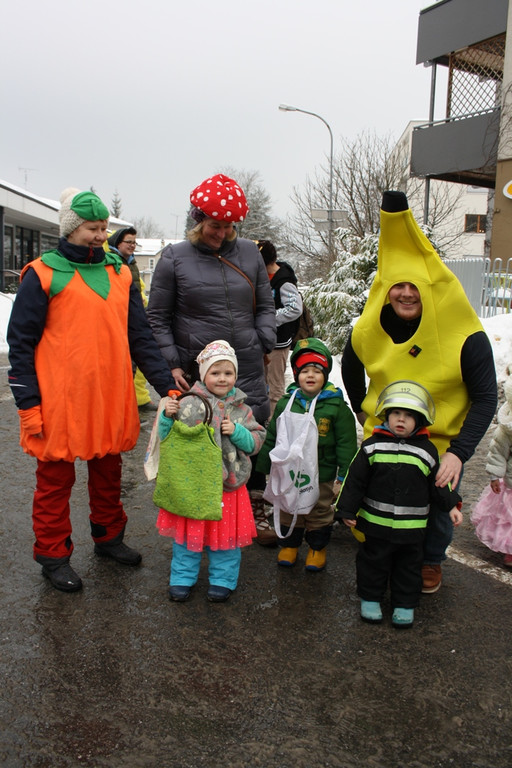 Lochau Faschingsumzug 2015 _89_.JPG