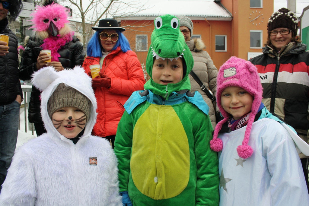 Lochau Faschingsumzug 2015 _87_.JPG