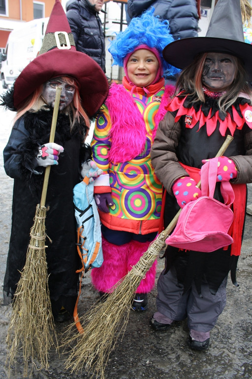 Lochau Faschingsumzug 2015 _88_.JPG