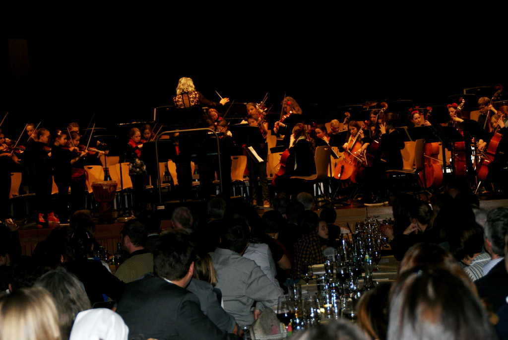 Begeistertes Publikum im Reichshofsaal.JPG