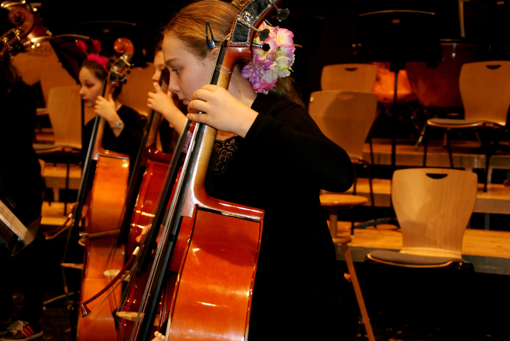 Die Streicher der Jugendsinfonietta.JPG