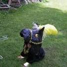 bea_GauKi09 001.jpg