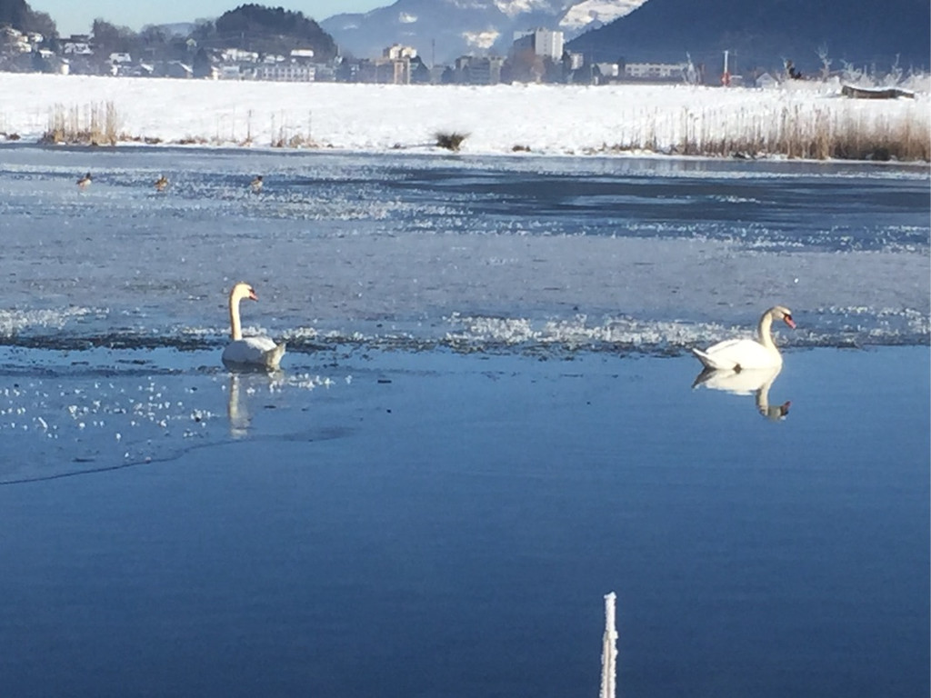 KOE_Winterideylle am Egelsee 1.jpg