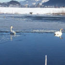 Egelsee im Winter