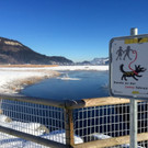 KOE_Winterideylle am Egelsee 3.jpg