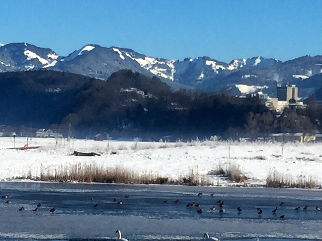 KOE_Winterideylle am Egelsee 4.jpg