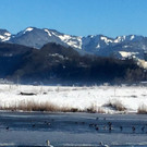 KOE_Winterideylle am Egelsee 4.jpg