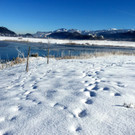 KOE_Winterideylle am Egelsee 5.jpg