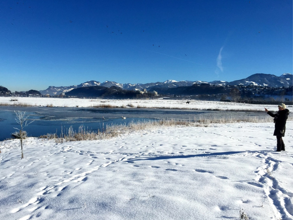KOE_Winterideylle am Egelsee 7.jpg
