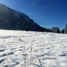 KOE_Winterideylle am Egelsee 8.jpg