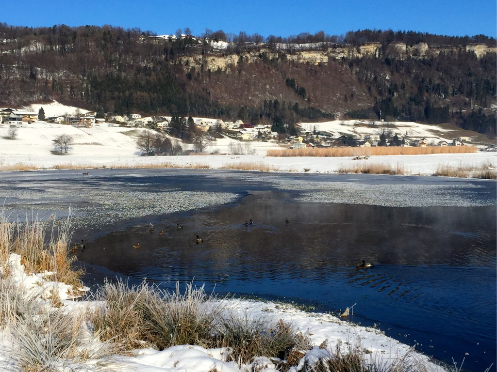 KOE_Winterideylle am Egelsee 11.jpg