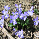 IMG_00210.jpg