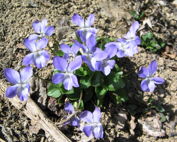IMG_00210.jpg