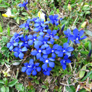 IMG_00212.jpg