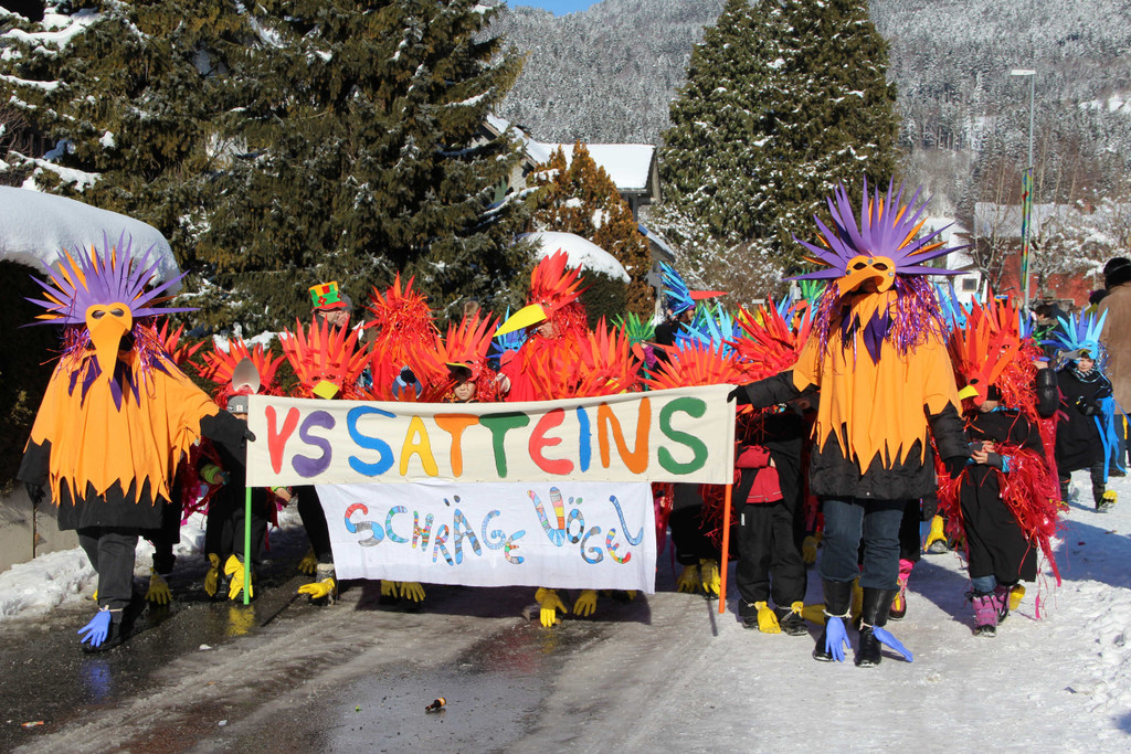 Foto Umzug Satteins 2013.jpg