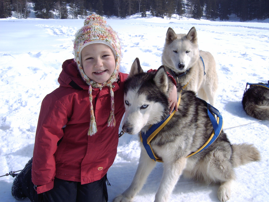 Husky Tonis Kindertraum.JPG