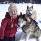 Husky Tonis Kindertraum.JPG