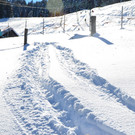 DSC_0394.JPG