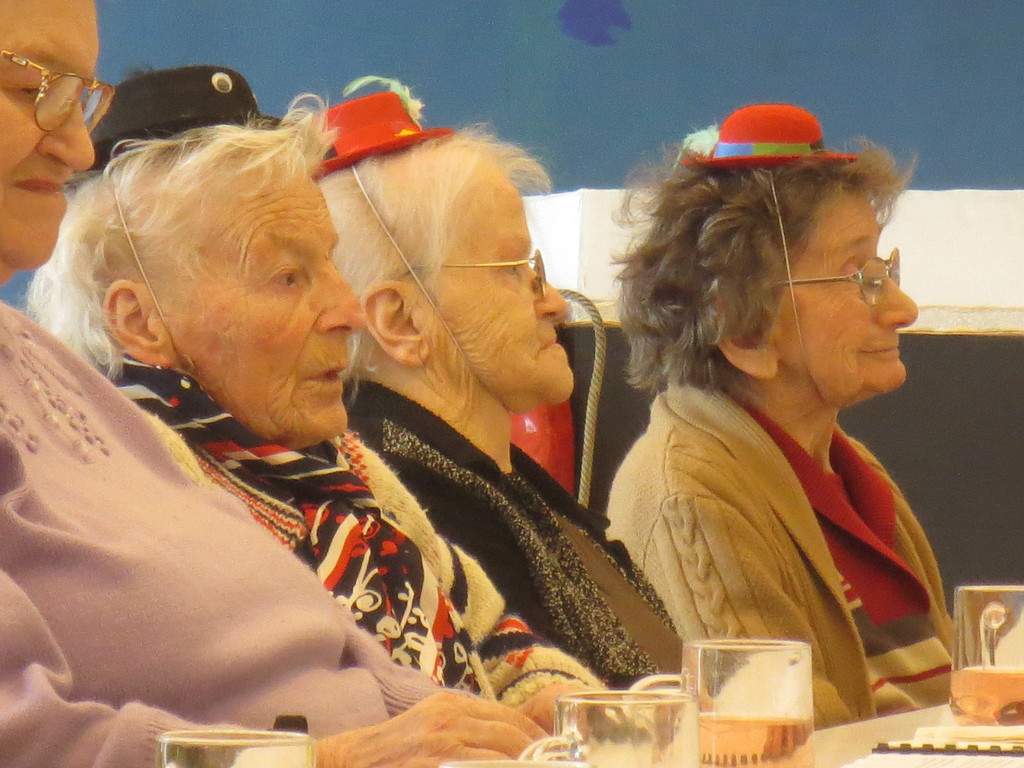 Musiknachmittag Zithergruppe Sp__tlese am 11_02_2015 003.JPG