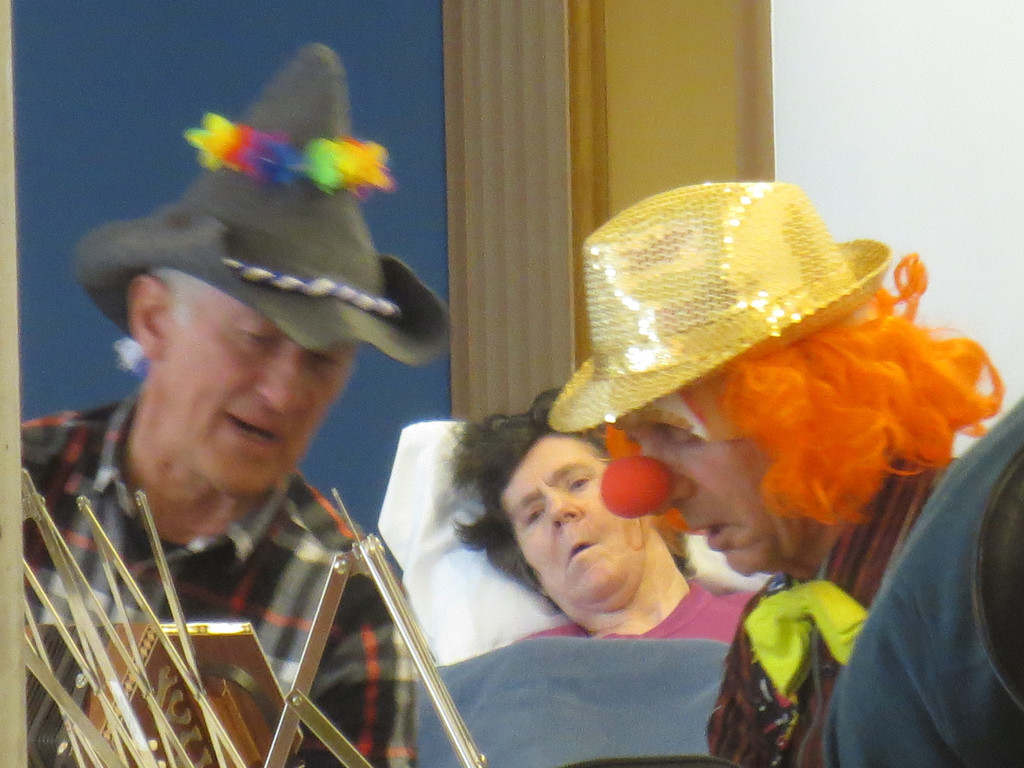 Musiknachmittag Zithergruppe Sp__tlese am 11_02_2015 005.JPG