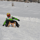 DSC_8247.jpg