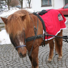 121-IMG_3289.JPG