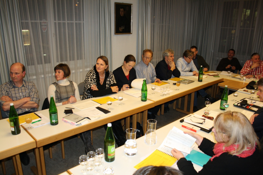 GV Sitzung BUDGET 06-02-2015 _6_.JPG