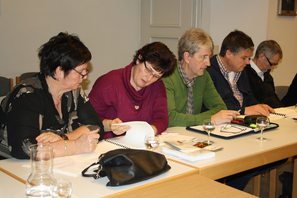 GV Sitzung BUDGET 06-02-2015 _15_.JPG