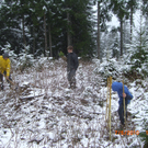 Aufforstung Kleinwalsertal 2_JPG-1273840962