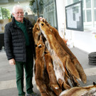 Traditioneller Raubtier-Fellmarkt im Winzersaal