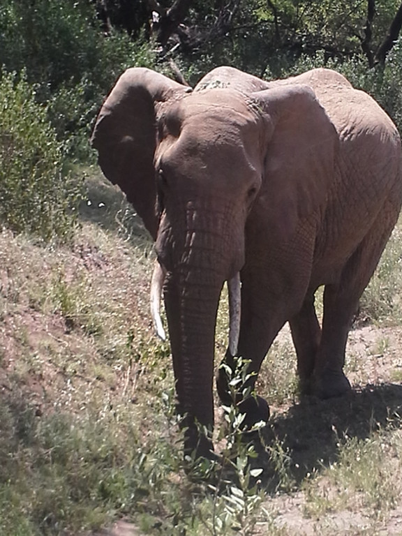 20150129_114058 _768x1024_.jpg