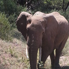 20150129_114058 _768x1024_.jpg