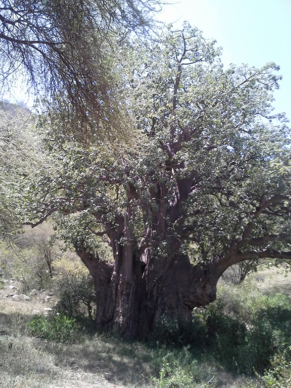 20150129_132724 _768x1024_.jpg