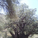 20150129_132724 _768x1024_.jpg