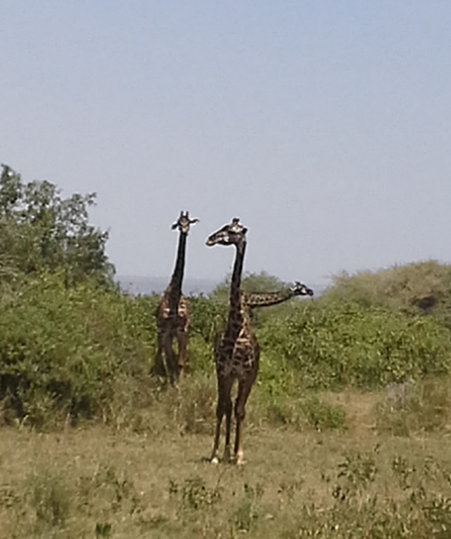 20150129_133915 _857x1024_.jpg