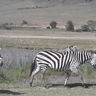 20150130_095428 _1024x768_.jpg