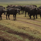 20150130_120655 _1024x768_.jpg